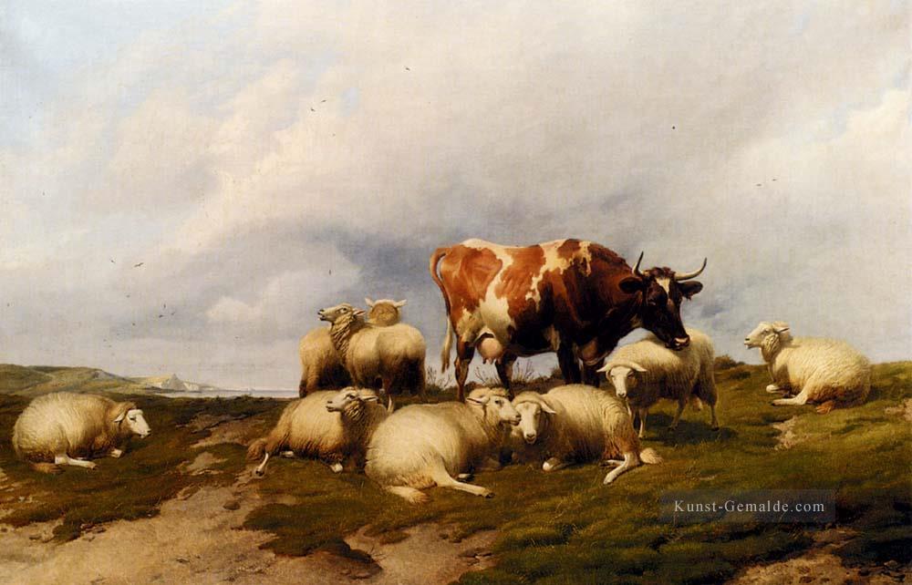 Eine Kuh und Schaf auf den Klippen Bauernhof Tiere Rinder Thomas Sidney Cooper Ölgemälde